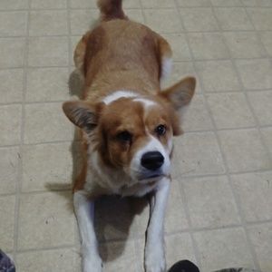 Meet your Posher, Jake